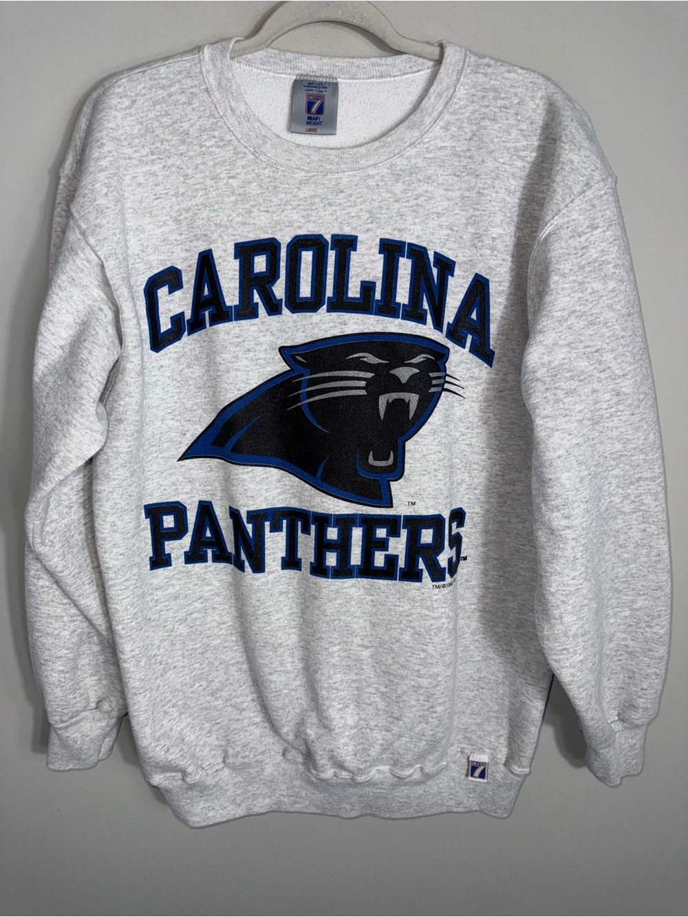 Vintage Carolina Panthers Pullover Sweatshirt-NFL-Gray-1993-Logo 7 Inc-Large
